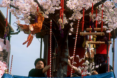 平成14年の様子です。黒い桜木が現在より前方にあります。