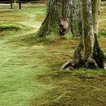 京都大原三千院