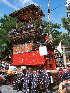 第41回 ぷーさん