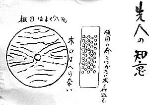 第15回 古い木輪