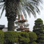 第18回 南国の山車