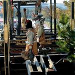 第36回 横並びは