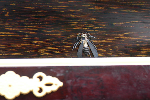 第5図 ホンモノを見る目を養おう