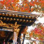 相性が悪い山車画像