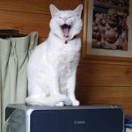 フラットベッド・プリンタ