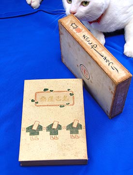 伊勢門水の「名古屋祭」 部屋でこんな撮影をしていると いつも好奇心旺盛なバカ猫が