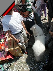 第30回 白クマ君