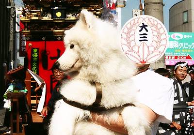 第30回 白クマ君