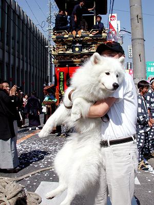 第30回 白クマ君